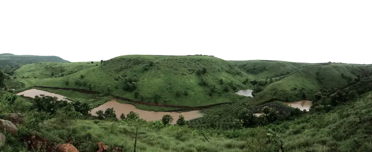 Impact of Reforestation on the Environment