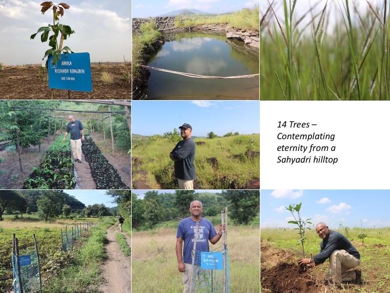 14 Trees – Contemplating eternity from a Sahyadri hilltop